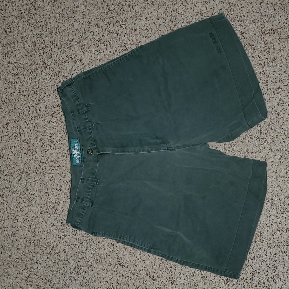 Big Dogs Men's Cargo Shorts Green